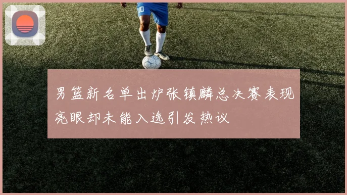 男篮新名单出炉张镇麟总决赛表现亮眼却未能入选引发热议